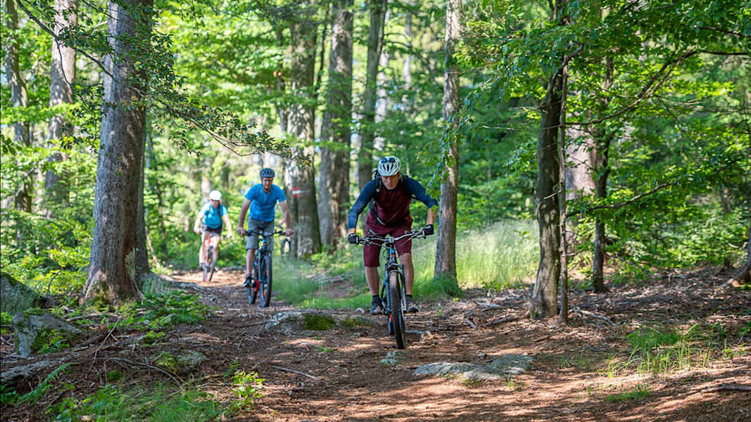 Mountainbike-Guide Georg Fröhlich fährt mit einer Gruppe über einen schmalen, wurzeligen Waldtrail im Mühlviertel, Oberösterreich.