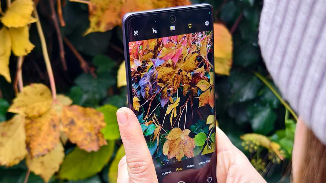 Mit dem Makro Modus kann man Details gestochen scharf festhalten.