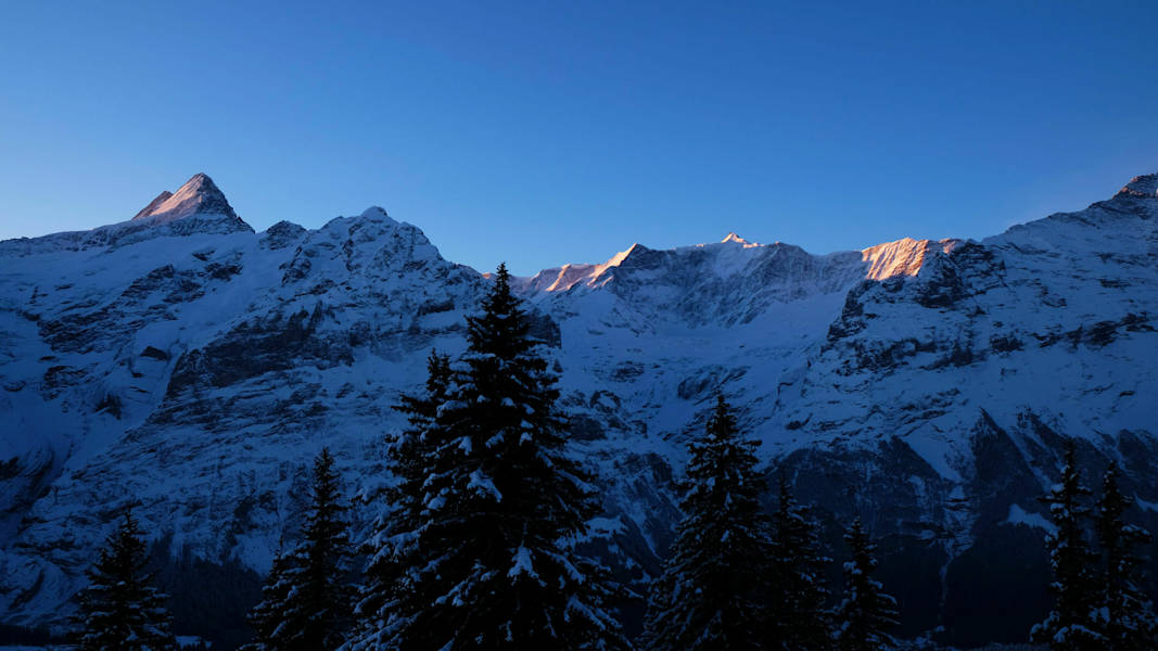 Bergkulisse bei Grindelwald: Berner Alpen