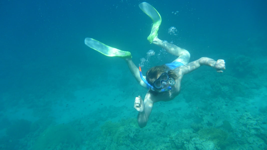 Jordanien Schnorcheln