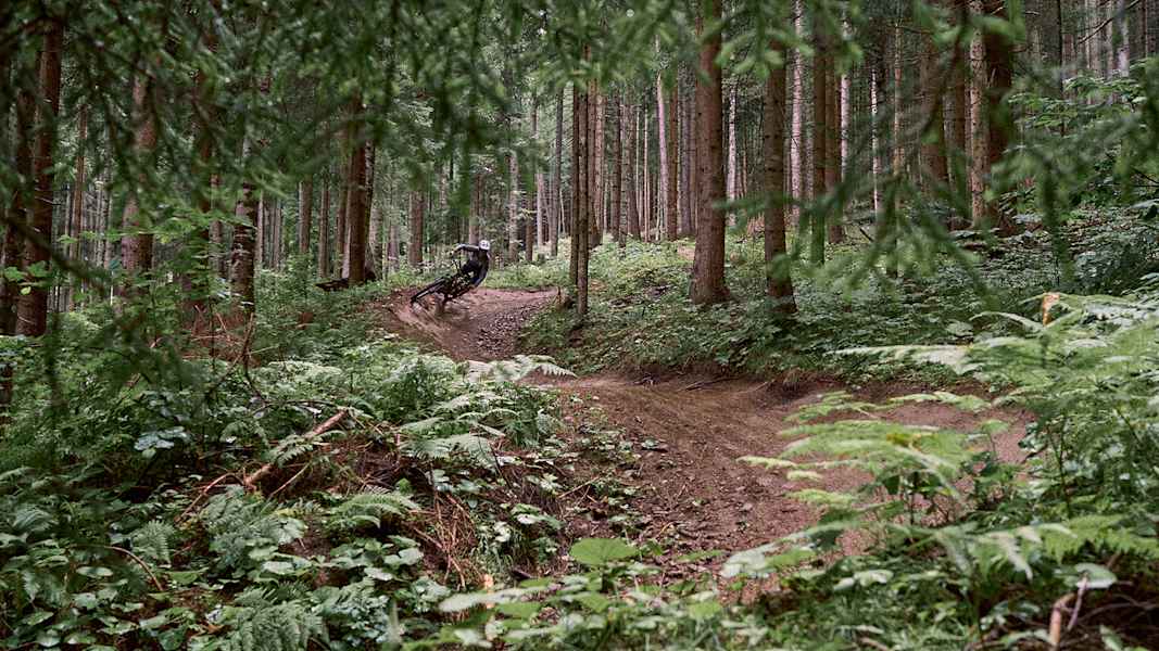 Ein Mountainbiker fährt einen Trail in Tirol hinab.