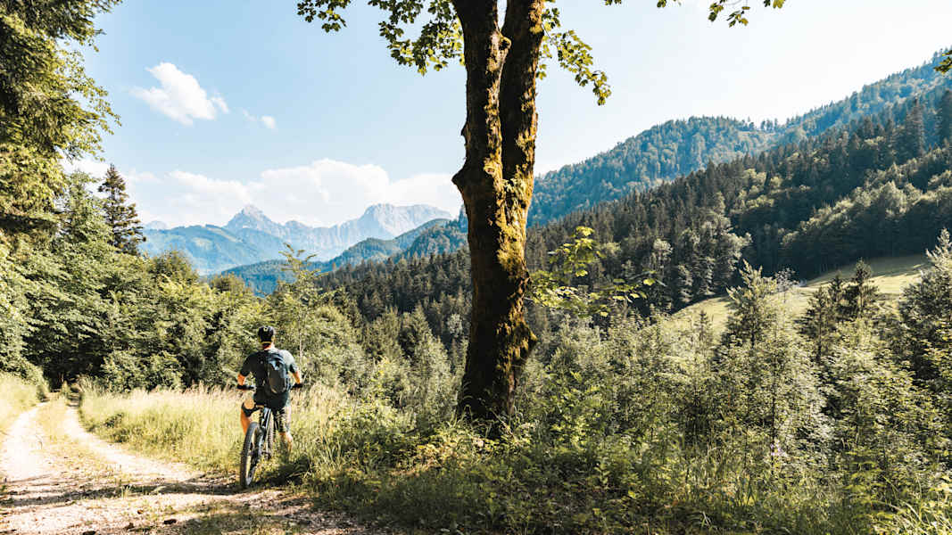 Ein Mountainbiker genießt auf einem Forstweg die Aussicht auf Wald und Berge.