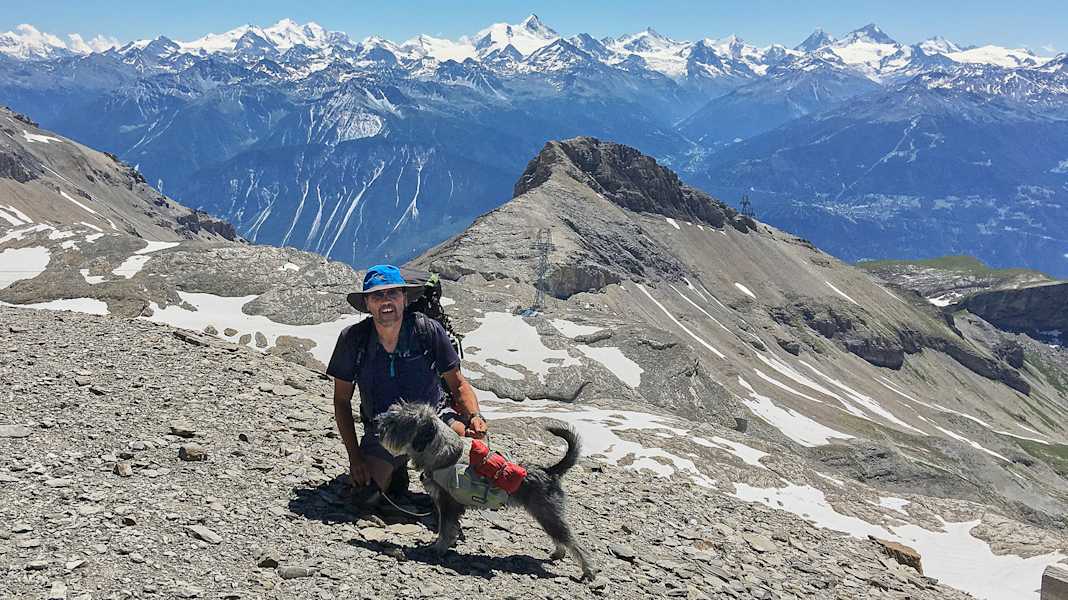 Zwei Schnauzer durchwandern die Schweiz