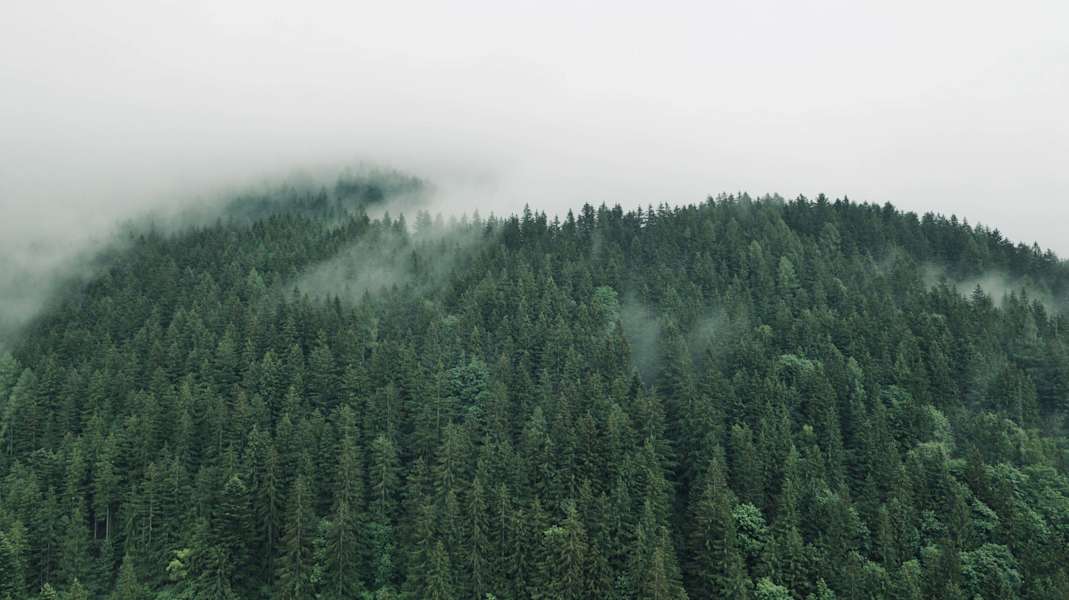 Luce ist ein kleiner Bergort im Savinja Tal nordöstlich von Ljubljana. Es ist ursprünglicher, grüner und weniger touristisch erschlossen als der Westteil Sloweniens. Der Gemütlichkeit und Nähe zur Natur tut das gut.