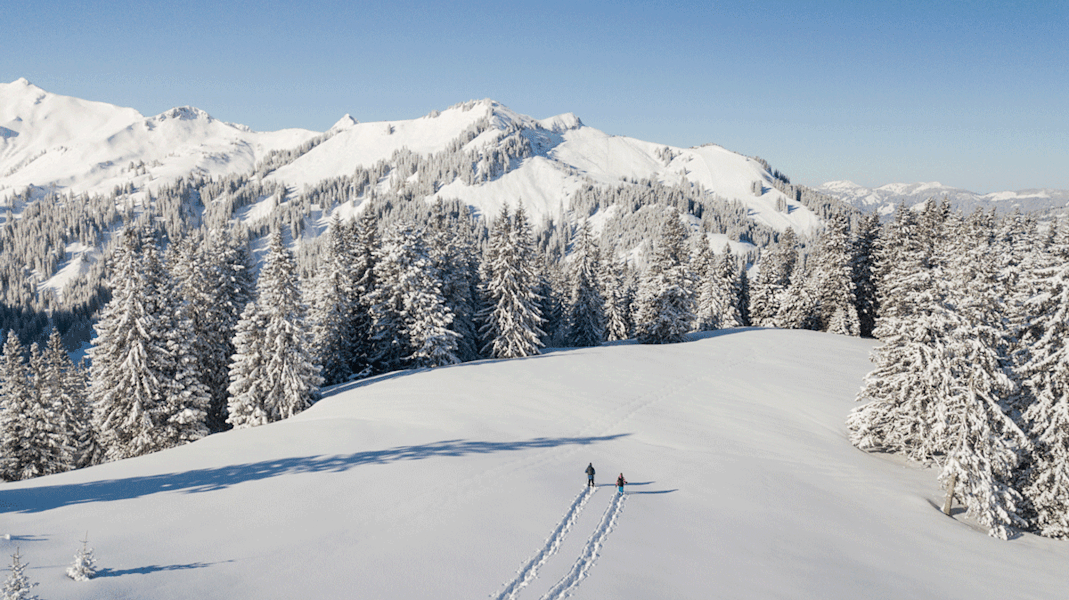 Schneeschuwandern im Tal, das sich quergestellt hat und dem Lauf der Sonne folgt