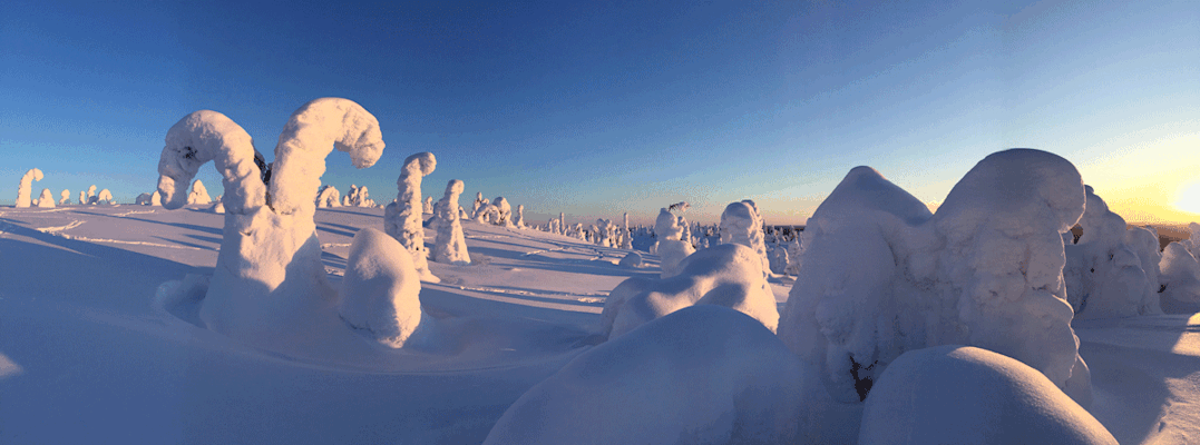 Wundervolle Schneeformationen hat der Wind hier in Finnisch Lappland geformt