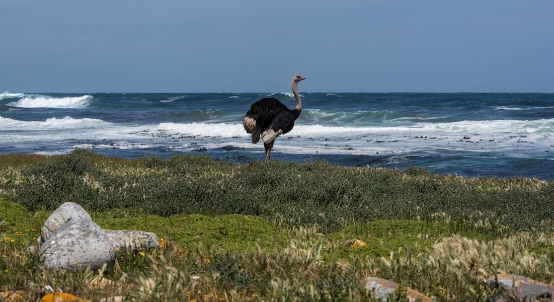 Reise Klettern in Südafrika