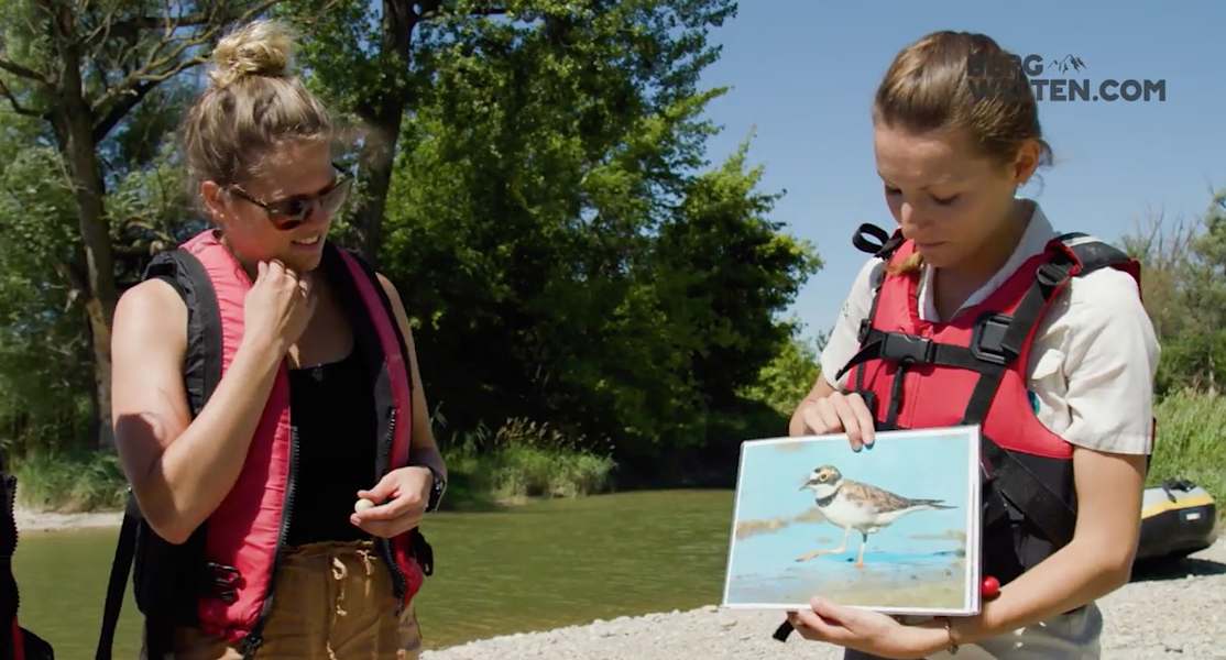 Nationalpark Donau-Auen Video