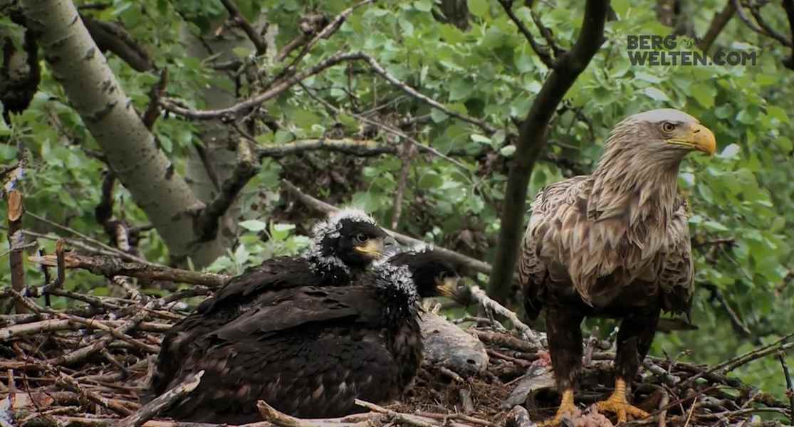 Nationalpark Donau-Auen Video