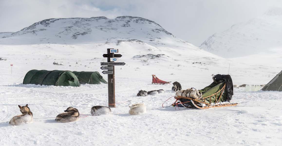 Langlaufen Skandinavien