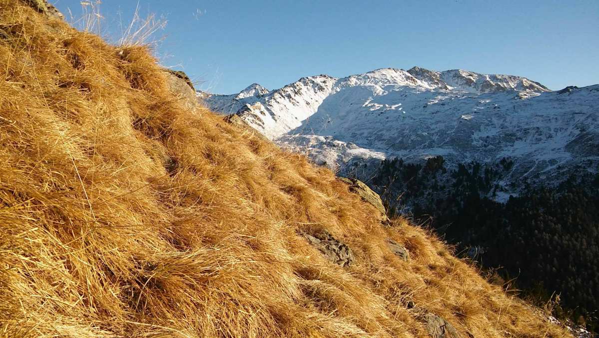Das Arztal ist ein wunderschönes, ruhiges Tal