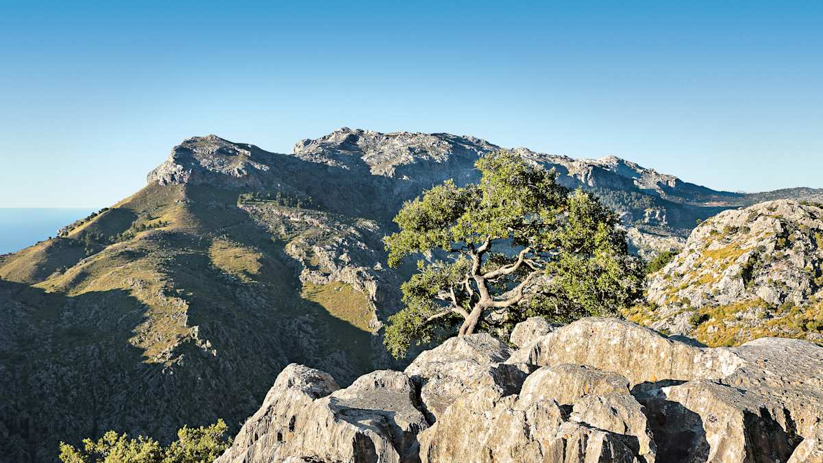 Das Puig-Roig-Massiv bietet traumhafte Panoramablicke auf die zerfranste mallorquinische Nordküste.