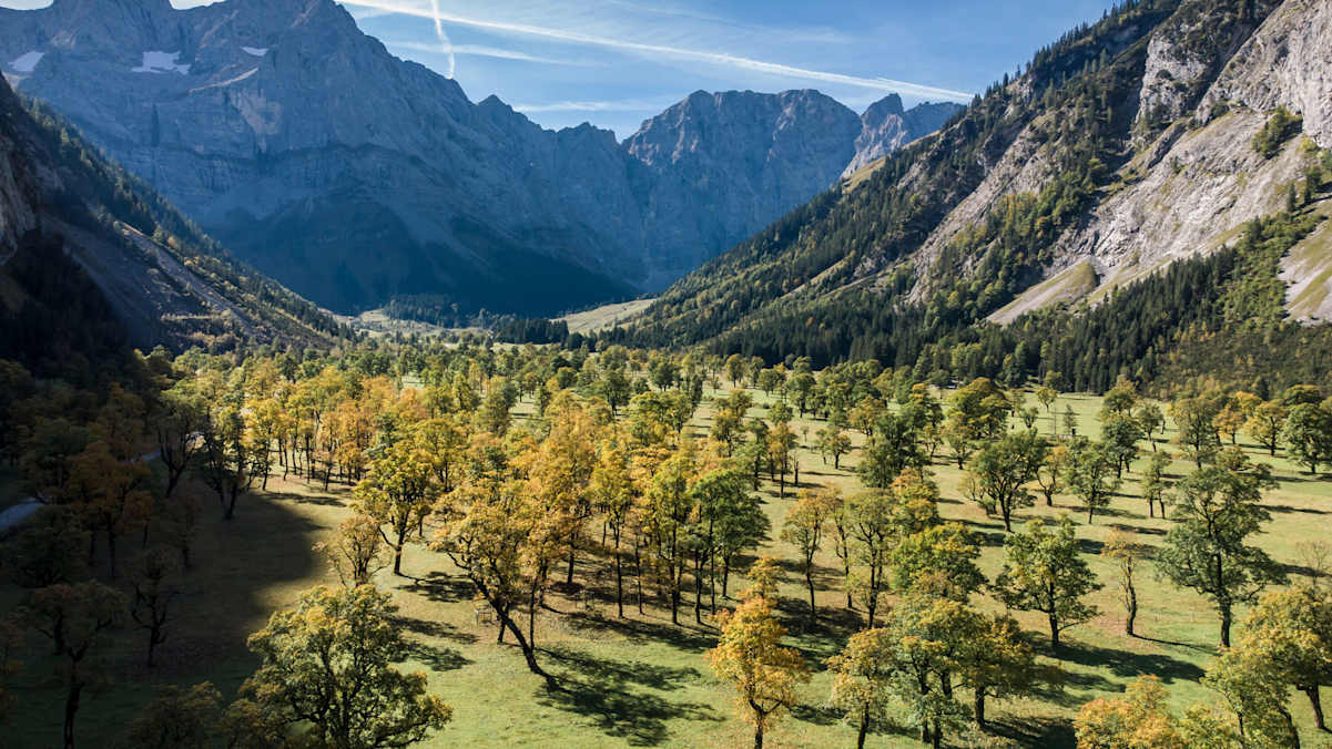 Große Ahornboden in Tirol