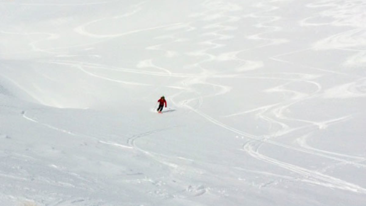 Gesäuse-Berge: Shippy bei der Abfahrt vom Scheiblingstein in den Haller Mauern