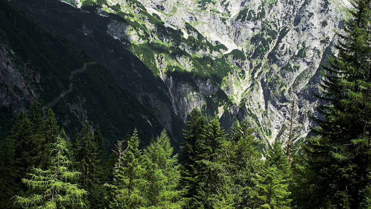 Der Anstieg von der Wengerau garantiert fantastische Ausblicke – aber auch verschwitzte Hemden.