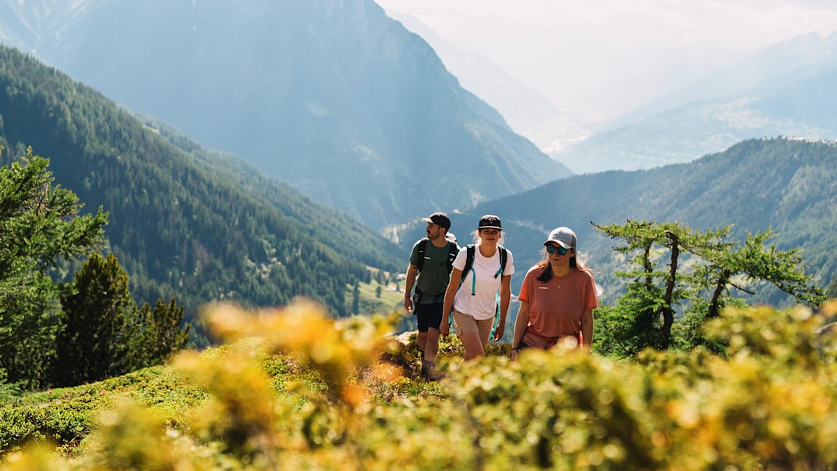 Drei Personen erwandern in der Schweiz die Berge im Sommer.