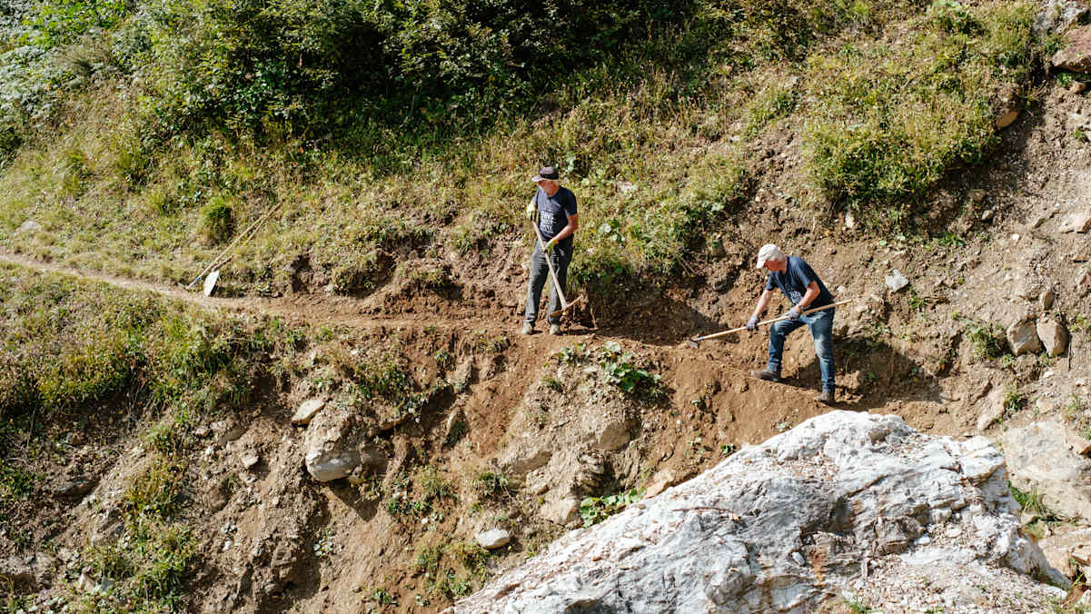 Wegwarte bei der Arbeit
