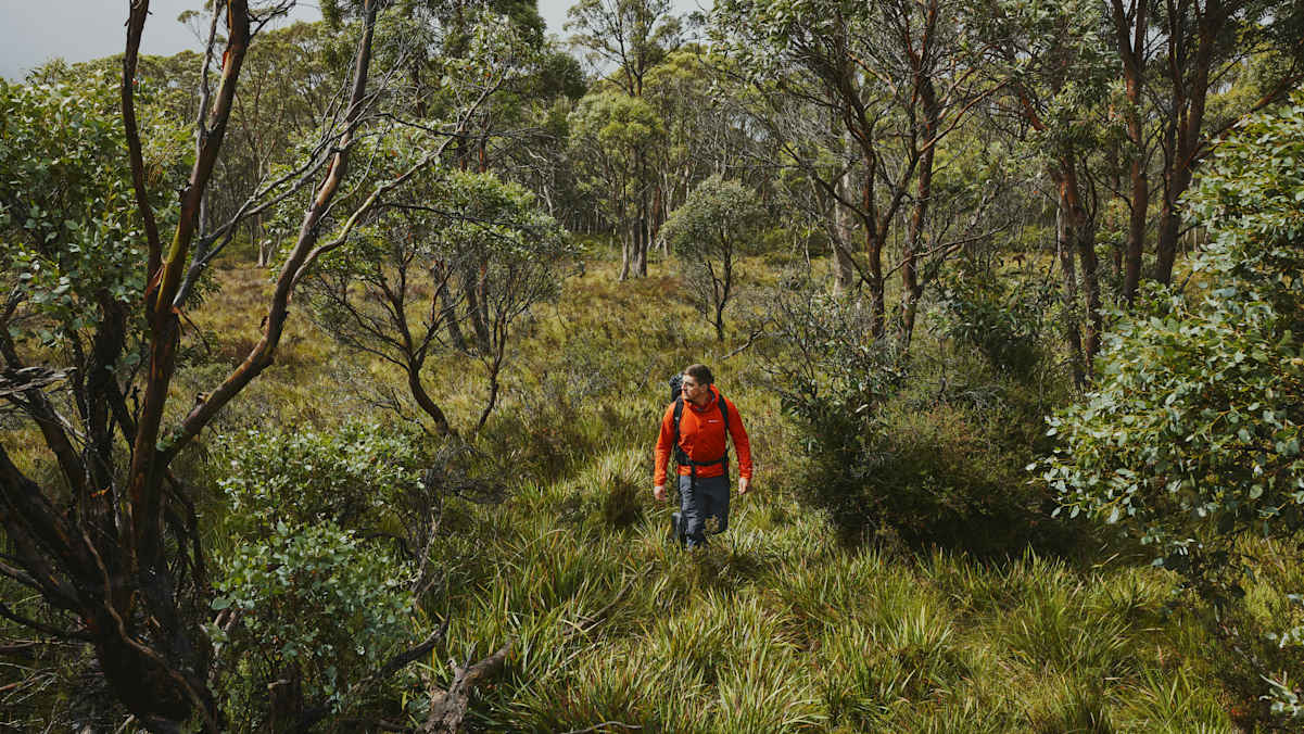 Signalfarben in Bergen
