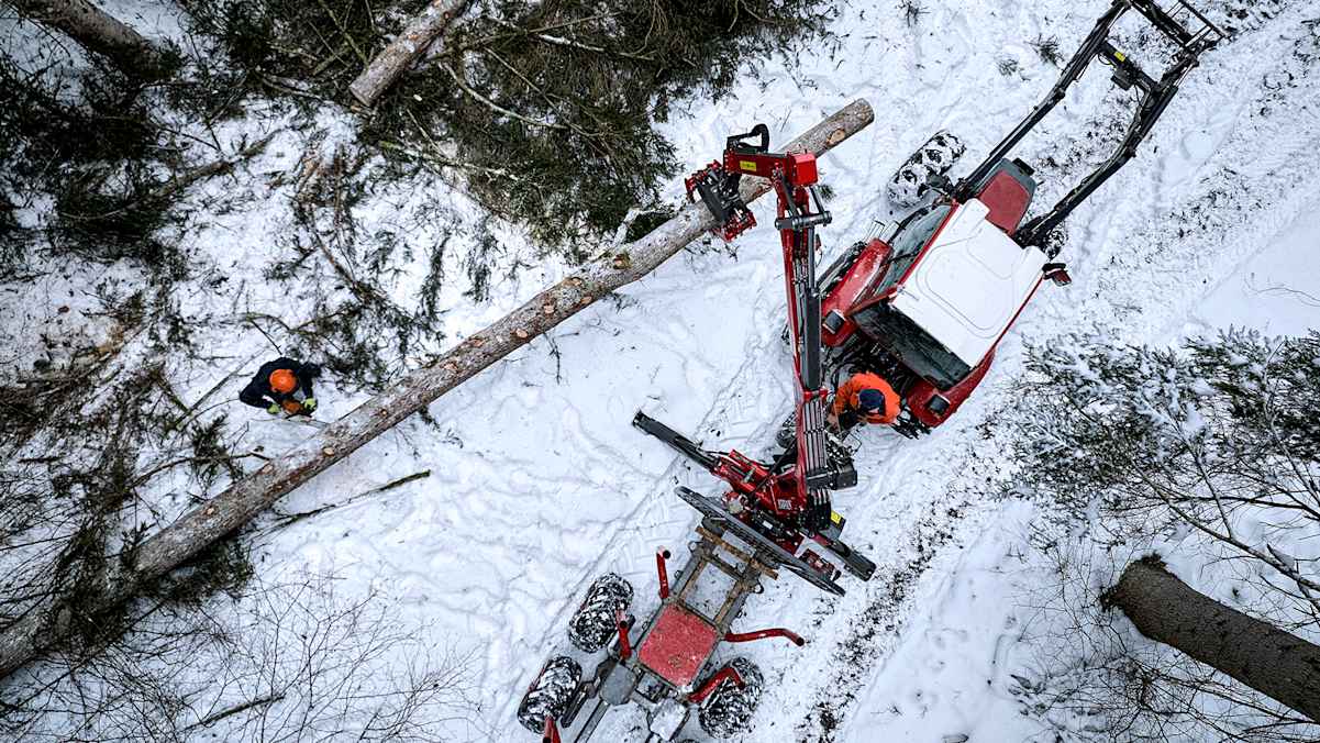 Die Wintermonate eignen sich durch den gefrorenen Boden perfekt für Holzarbeiten mit schweren Maschinen.