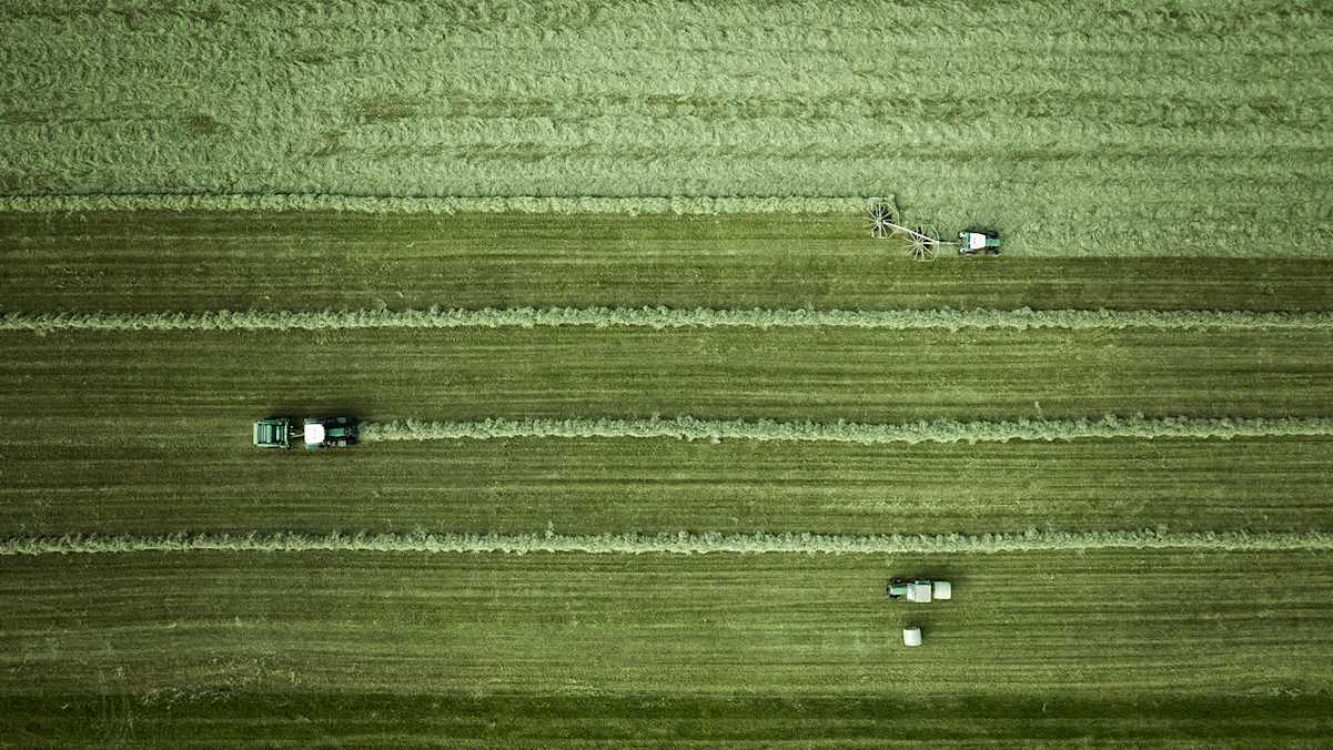 Heu Einfachren, Wiese, Weide