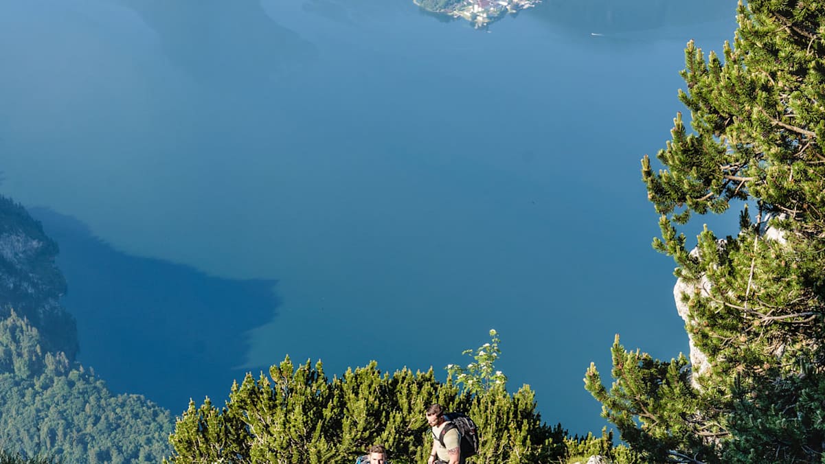 1.200 Höhenmeter hinauf muss man auf den Traunstein überwinden.