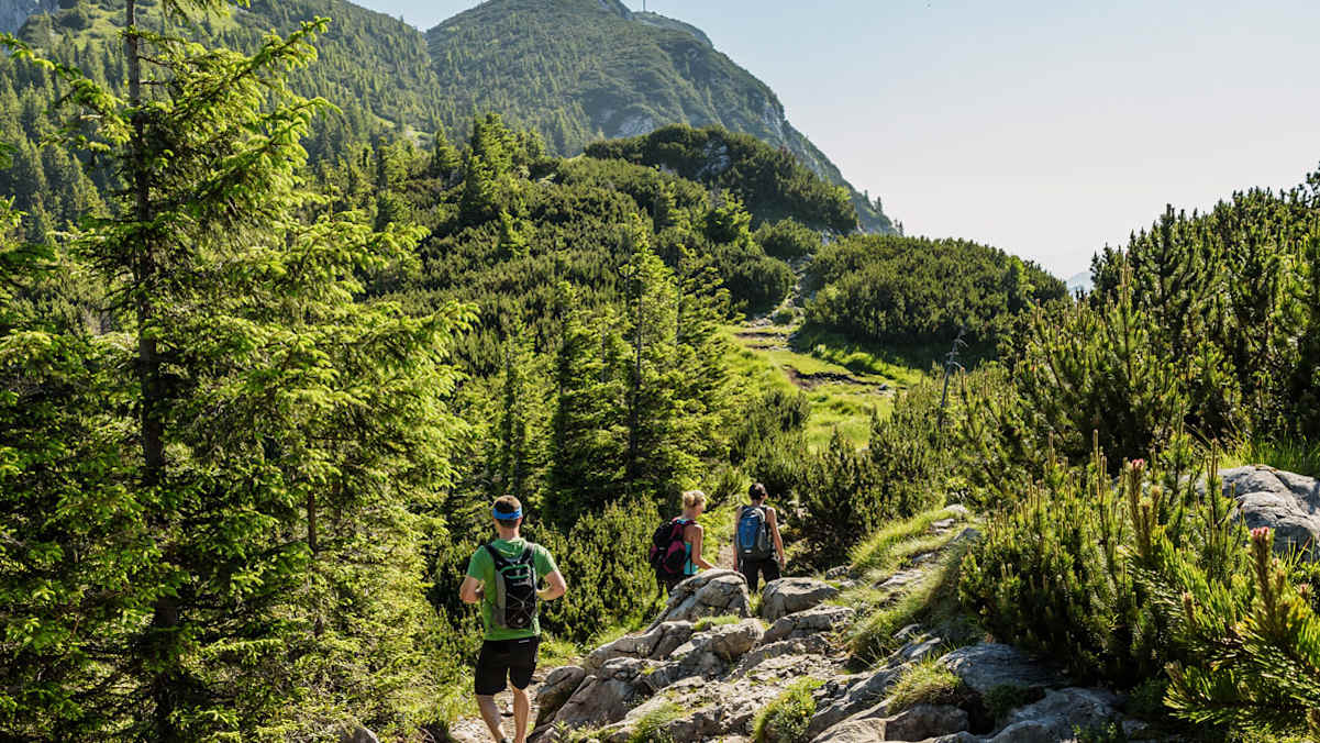 Unterwegs am Mairalmsteig, der ältesten und einfachsten Route auf den Traunstein. Links oben die Gmundner Hütte, vorn das Gipfelkreuz.