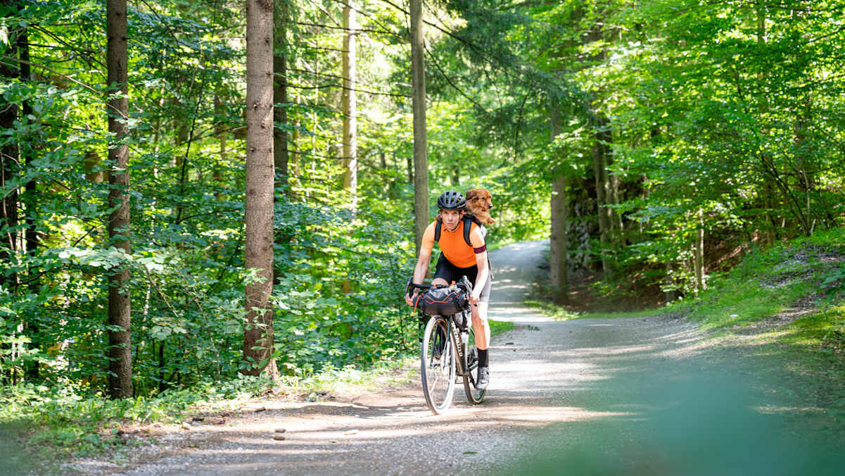 Samantha (Spitzname „Semmel“) liebt Radfahren und ist mit ihrem Frauchen auch privat oft im Sattel unterwegs – Profibrille inklusive.