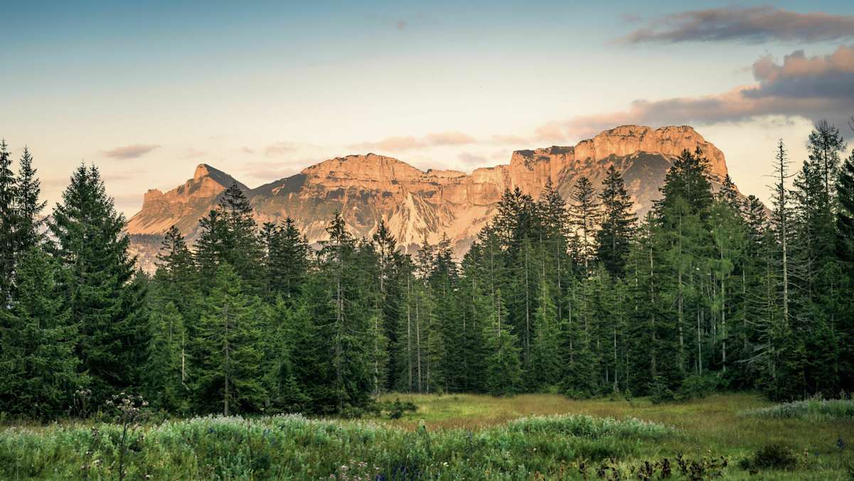 Sandling-Runde Loser