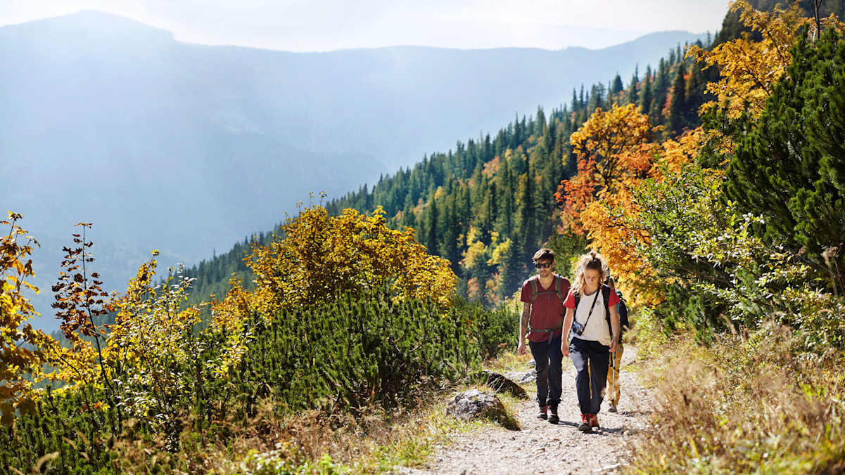 Der Herbst in all seinen Schattierungen: farbenfroh beim Aufstieg und mystisch-nebelig am Raxplateau (links).