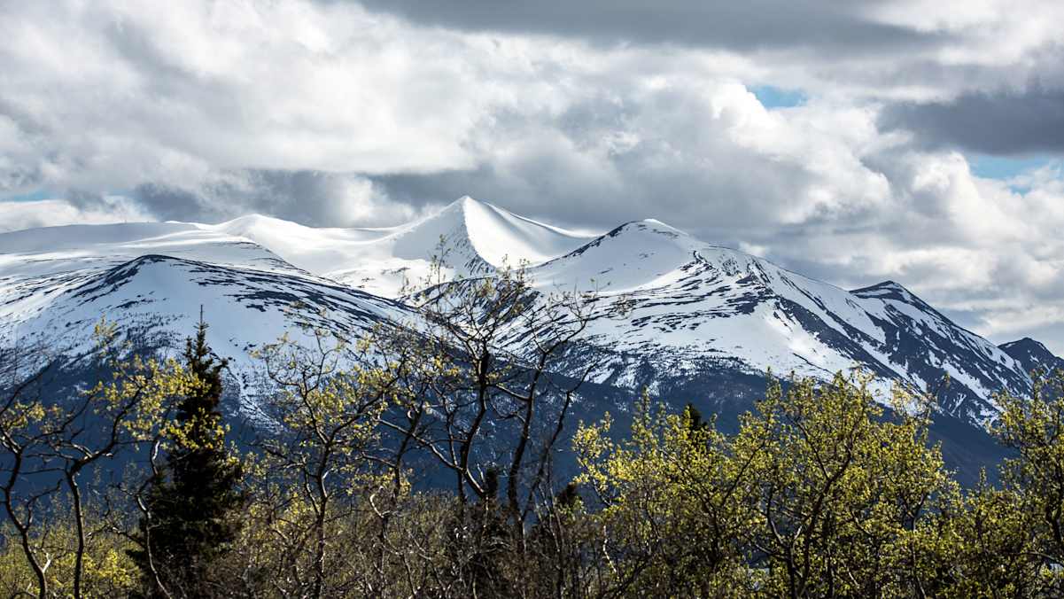 Kanada Atlin Birch Mountain