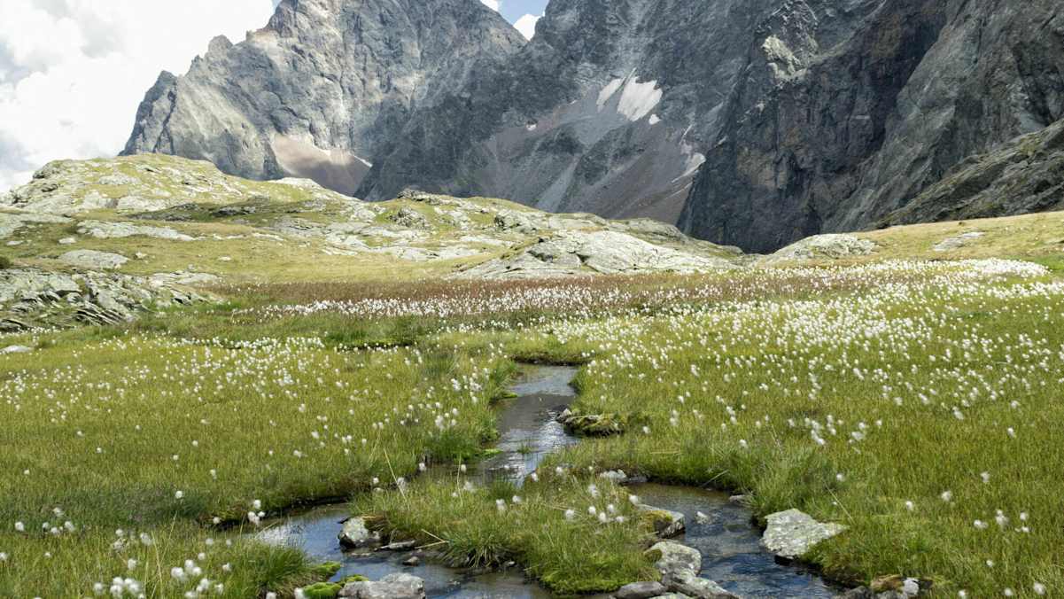 Das wunderschöne Gradental