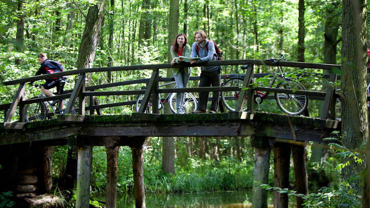 Spreewald Radweg