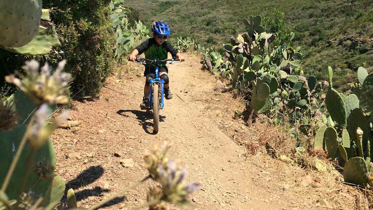 5 Profi-Tipps: Mit Kindern am Mountainbike