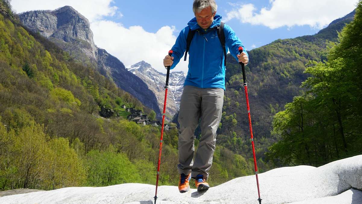 Micro Vario Carbon von Leki