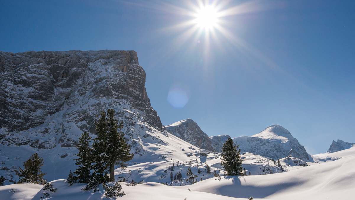 Skiweg Nr. 650 in Richtung Gjaid-Alm