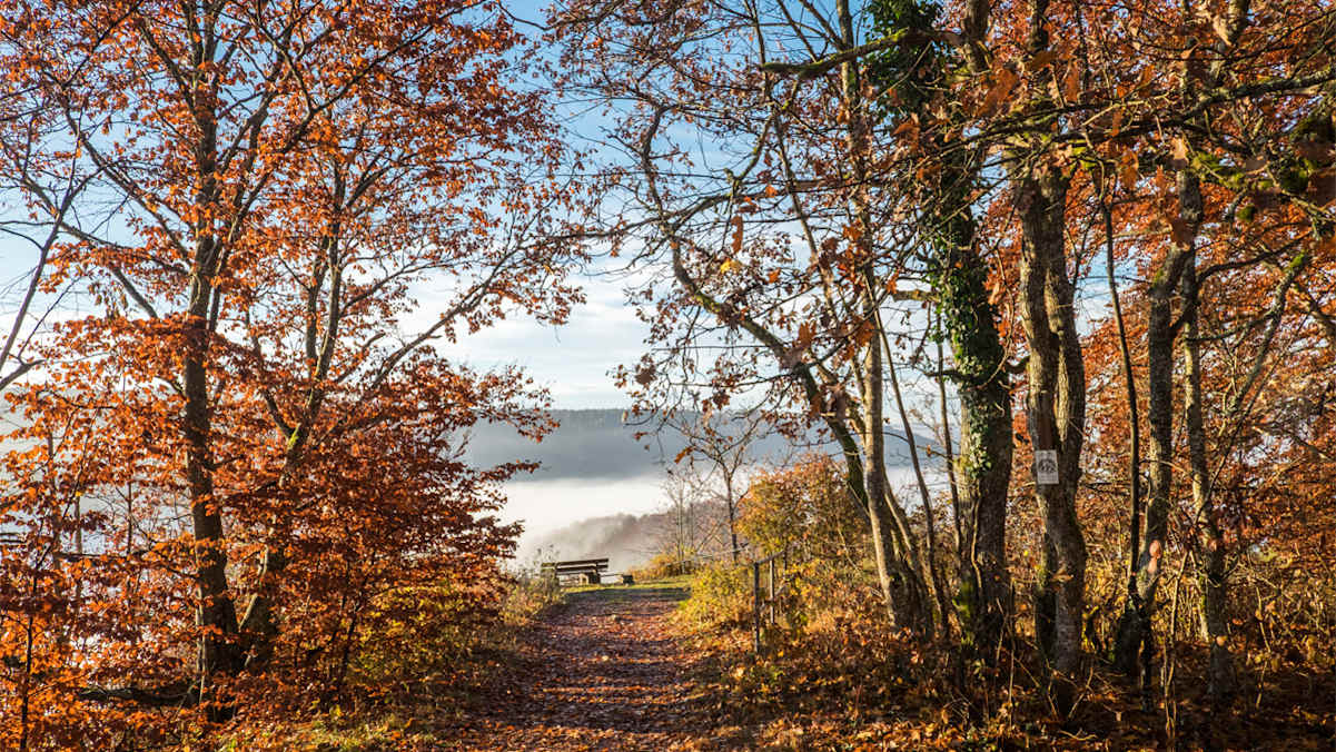 Eichfelsen-Panorama Wanderung