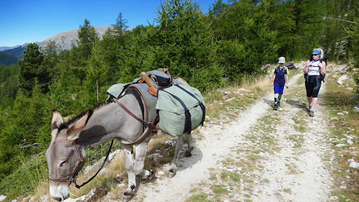 Mit dem Esel durch die französischen Alpen
