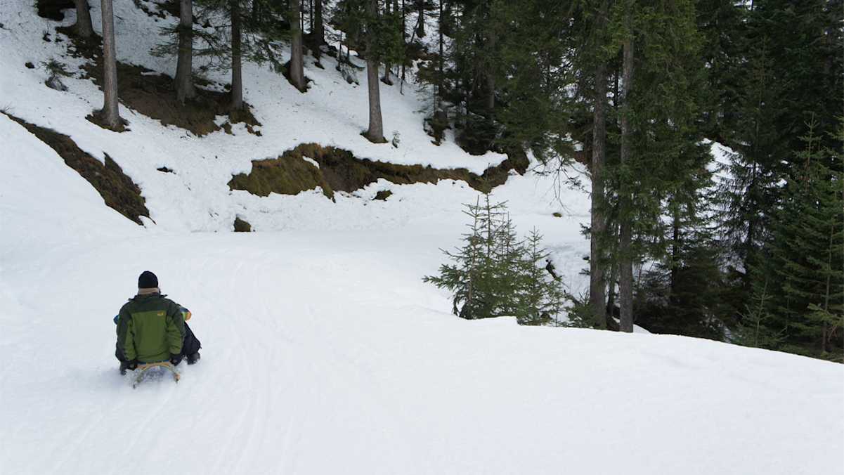 Hirscheckblitz Rodeln