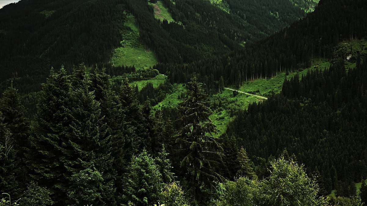 Aussicht von der Lengau Alm in Hinterglemm