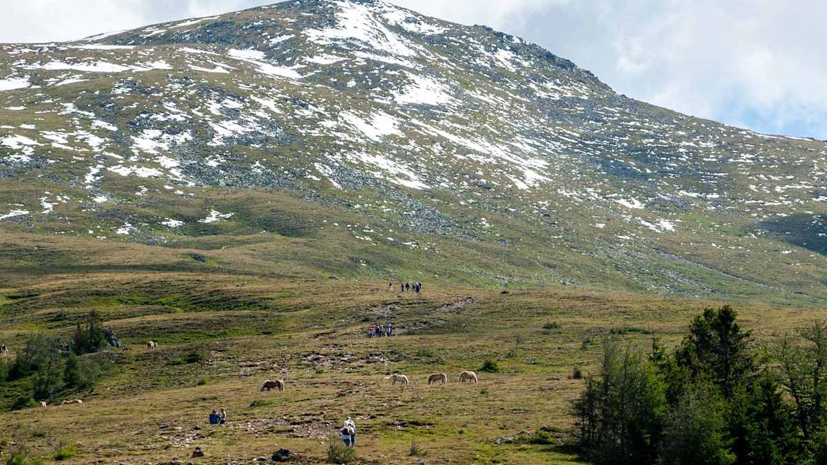 Die Grasberge im Murtal