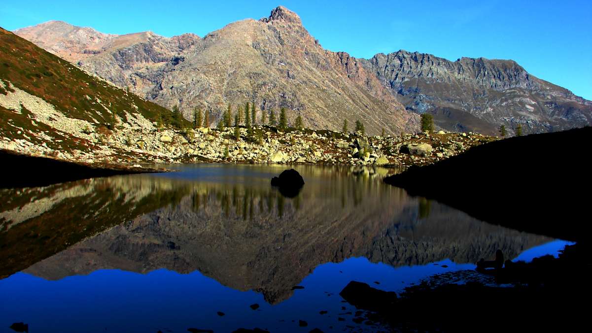 Der wunderschöne Logo Aframont