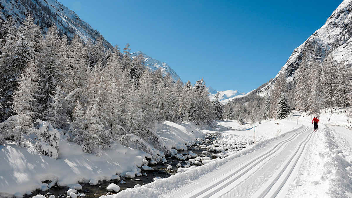 Langlaufen in Pontresina