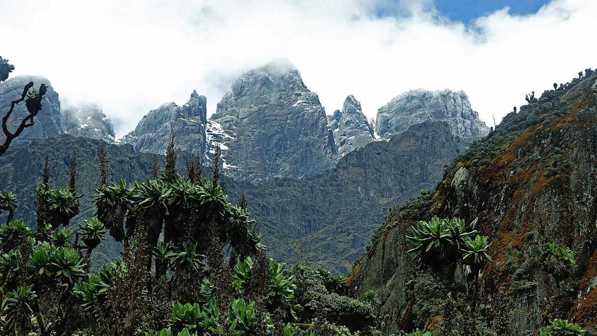 Dschungel, Gletscher, Grate: Ruwenzori, Uganda/Kongo
