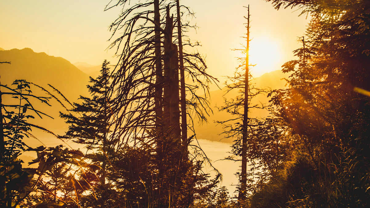 Sonnenuntergang beim Abstieg vom Schoberstein