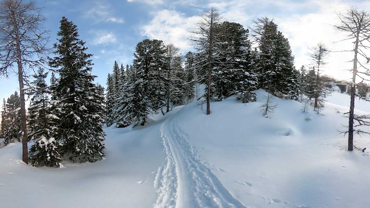 Skitour auf den Graukogel