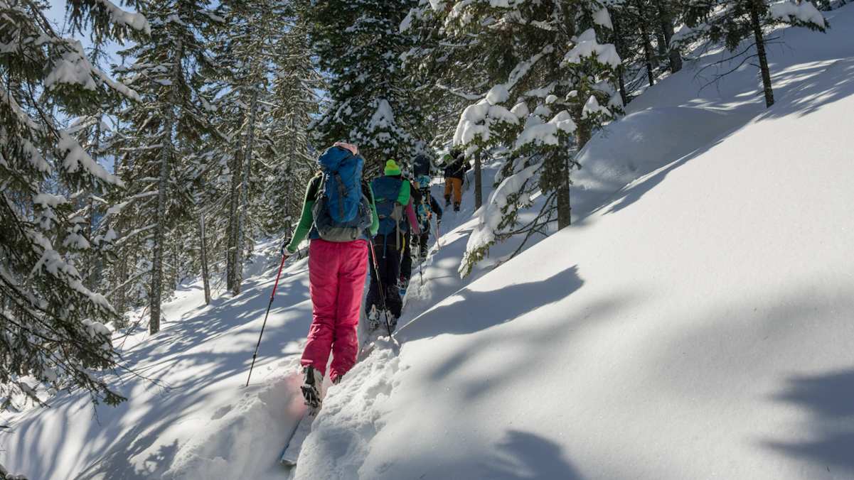 Skitourengruppe im Wald