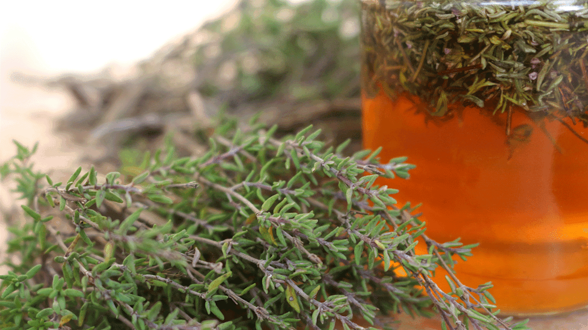 Thymian ist als Tee, Honig und Sirup eine beliebte Hustenpflanze