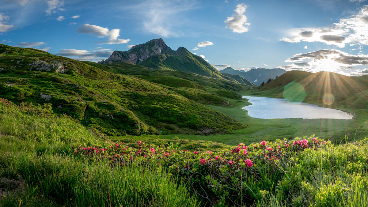 Der Zollnersee in Kärnten, saftige Almwiesen