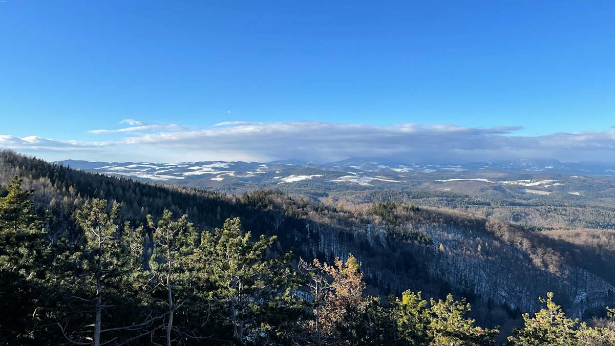 Die Rosalia Trail Challenge führt durch die schöne Natur in Niederösterreich und im Burgenland.
