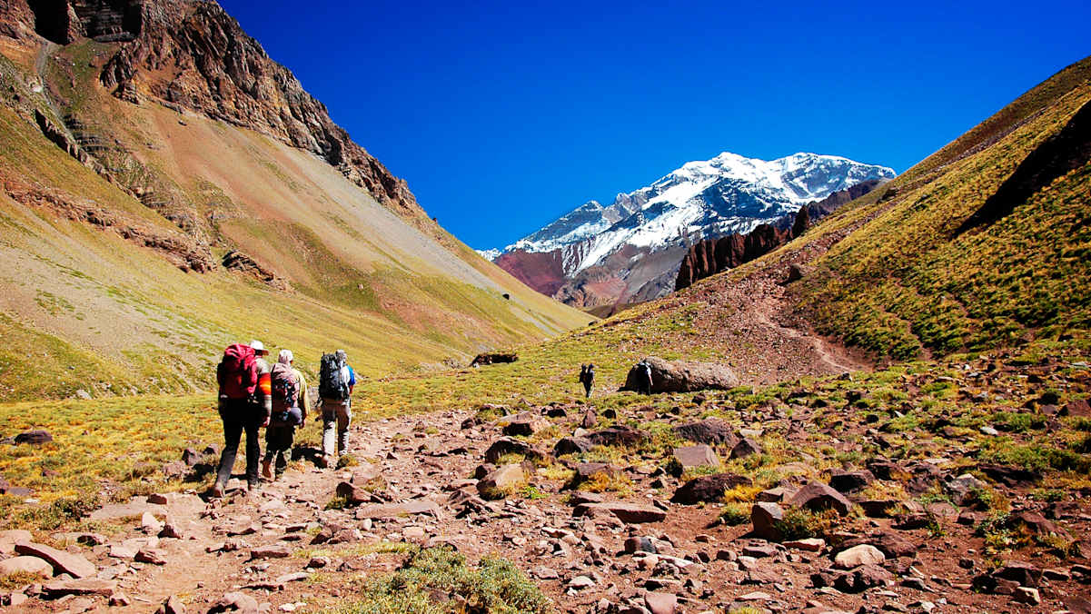 Aconcagua Wanderer